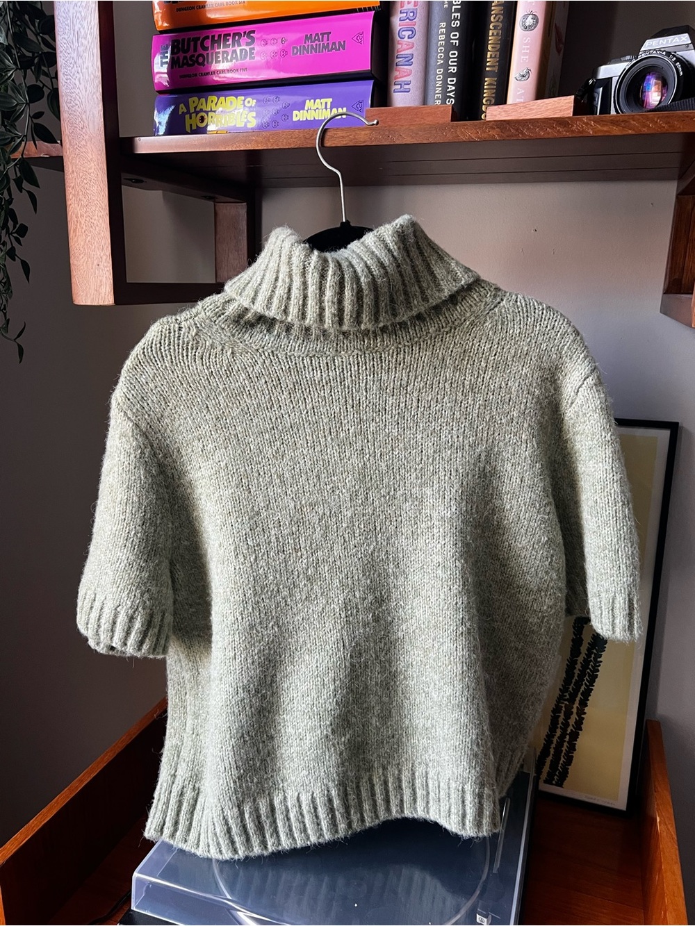Abercrombie & Fitch Sage Green Short-Sleeve Turtleneck Sweater